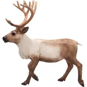 Small Foot Mojo Wildlife - Cerf (modèle 387186)