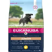 Eukanuba Puppy Large Breeds Chicken 3 kg nourriture sèche pour chiots de grandes races riche en poulet frais