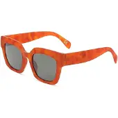 Vans Sunglasses Belden Brown Tortoise