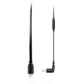 Rode Câble accessoire et micrologiciel SC15 Lightning pour Videomic NTG