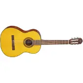 Takamine Gc1-Nat Natural