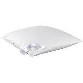 De Witte Lietaer Oreiller Dream - 60 x 70 cm - Garniture en polyester
