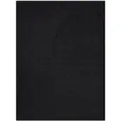 vidaXL Paillasson Noir 60x80 cm