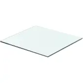 vidaXL Panneau pour étagère Verre transparent 40 x 30 cm