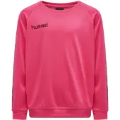 Hummel Sweat de sport 'Poly' rose / rouge foncé