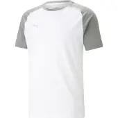 Puma T-Shirt fonctionnel 'Team Cup' gris chiné / blanc