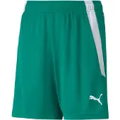 Puma Unisexe, Bas de sport, short teamLIGA Jr-704931 (128), Vert