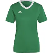 Adidas Maillot 'Entrada 22' vert / blanc