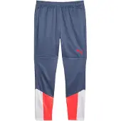 Puma Pantalon De Survêtement Individual Cup Training