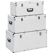 vidaXL Valises de rangement 3 pcs. argent aluminium