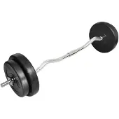 vidaXL Ensemble d'haltères avec barre curl et disques d'haltères 30 kg