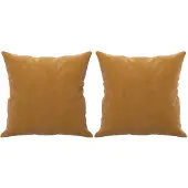 vidaXL Coussins décoratifs lot de 2 Marron 40x40 cm Velours