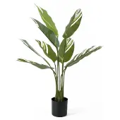PT Living Kunstplant Calathea - Groen - 63x63x90cm - Modern (90 cm)