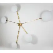 Design For Macha Stella Starfish Plafonnier/Applique Polished Brushed