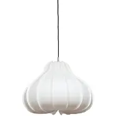 Ay Illuminate Koro Suspension Medium