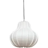 Ay Illuminate Hyo Suspension Medium