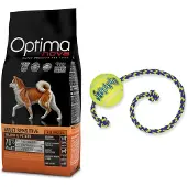 Optimanova 2x12kg Optimanova Adult Sensitive, saumon, pommes de terre - Croquettes pour chien