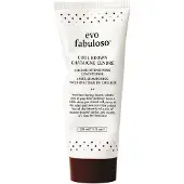 Evo Fabuloso Colour Boosting Treatment après-shampoing pour souligner la couleur de cheveux teinte Cool Brown 220 ml