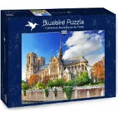 Bluebird Puzzle Cathédrale Notre-Dame de Paris 2000 pièces