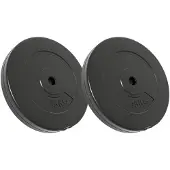 vidaXL Disques d'haltères 2 pcs. 30 kg ciment