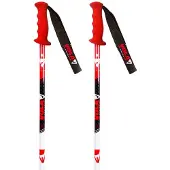 Vola Bâtons Sl Carbon