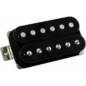 Friedman Classic Neck Black Micro guitare