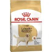 Royal Canin Nourriture Pour Chiens Adultes Labrador Retriever Avec Volaille Et Riz 12kg