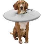 Trixie , XS, collier de protection pour chiens et chats, polyester, 23-27x13cm