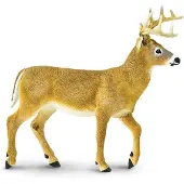 Safari Ltd Figurine De Cerf De Virginie