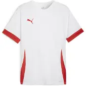 Puma T-Shirt fonctionnel 'TeamGoal Matchday' rouge / blanc