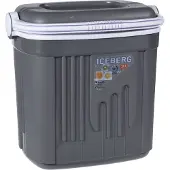 Coppens Glacière de voyage portable 20 L gris