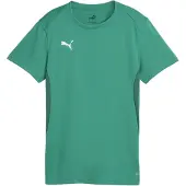 Puma Femmes, T-shirt de sport, teamGOAL Jersey Wmn (L), Vert, L