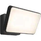 Philips Hue Discover Projecteur White & Colour pour l'Extérieur
