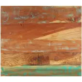 vidaXL Dessus de table rectangulaire 70x80 cm 25-27 mm Bois récupéré