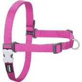 Red Dingo Harnais Pour Chien No-pull