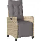 vidaXL Fauteuil de jardin avec repose-pieds Réglable Mélange de beige Poly rotin