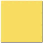 Colorama 116 2,72x11m Dandelion