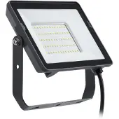 Philips Projecteur LED Réflecteur 30W 2850lm 4000K IP65 Noir ProjectLine