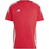 Adidas Tiro24 Sweat Short Sleeve T-shirt Rouge L / Regular Homme
