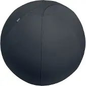 Leitz ERGO BALLON ERGONOMIQUE ACTIF 75CM GRIS FONCÉ