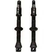 WTB tyres Tcs Al Max Flow Presta 44 Mm Valves 2 Units Argenté