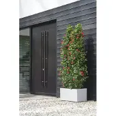 Elho Jardinière Rectangle En Plastique 80 X 40 Cm Vivo Long Blanc