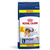 Royal Canin Maxi Adult pour chien