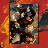 Membran 17% Fee Hand Habits - Sugar The Bruise [Vinyl Lp]