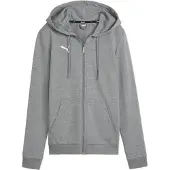Puma Femmes, Vestes de survêtement, teamGOAL Casuals Veste à capuche Wmn (S), Gris
