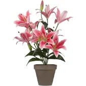 Mica Decorations Lis tigré plante artificielle fuchsia en pot H47