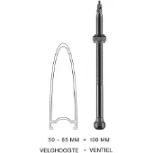 Schwalbe Tubeless Presta Valves 2 Units Noir 100 mm