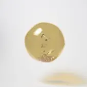Sunnylife Ballon de Plage Sunnylife Disco Gold