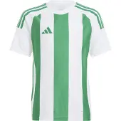 Adidas T-Shirt fonctionnel vert / blanc