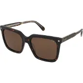 Crullé Sunglasses Hopeful C1